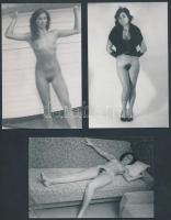 cca 1975 Finoman erotikus fénykép tétel, 6 db fotó, 14x9 cm /
cca 1975 6 erotic photos, 14x9 cm
