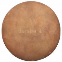 Ligeti Erika (1934-) DN "Kiváló Társadalmi Munkáért - Fót Nagyközség Tanácsa" Br plakett e...