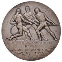 Ausztria / Bécs 1953. "Bécsi Kereskedelmi Kamara / Hűséges Munkáért" ezüstözött Br emlékérem, peremen "BRONZE" beütéssel. Szign.: Grienauer (71mm) T:2 Austria / Vienna 1953. "Kammer der Gewerblichen Wirtschaft für Vienna (Chamber of Commerce for Vienna) / Für treue Mitarbeit (For Faithful Work)" silver plated Br medal with "BRONZE" hallmark. Sign.: Grienauer (71mm) C:XF
