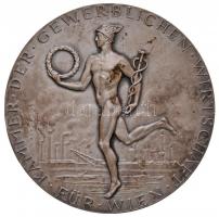 Ausztria / Bécs 1953. "Bécsi Kereskedelmi Kamara / Hűséges Munkáért" ezüstözött Br emlékér...