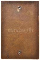 1948. "A legnehezebb időben végzett jó munkáért 1945-1948" Br plakett (84x54mm) T:2
Hunga...