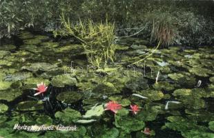 4 db RÉGI magyar városképes lap; Eger, Hévíz, Kápolna / 4 old Hungarian town-view postcards; Eger, Hévíz, Kápolna