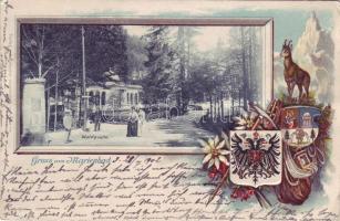 Marienbad Prä Litho