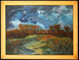 Zielinszky Erzsébet (1937-): Ősz. Olaj, farost, jelzett, üvegezett keretben, 60×80 cm