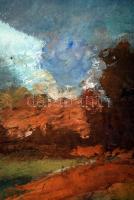 Zielinszky Erzsébet (1937-): Ősz. Olaj, farost, jelzett, üvegezett keretben, 60×80 cm