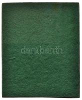 1984. "Congressus Pharmaceuticorum Et Medicorum - Veterinariorum Kecskemét" fém orvosi pla...