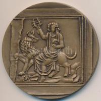 ~1980. "Szombathely Város Tanácsa" Br emlékérem dísztokban (60mm) T:1-,2 ph