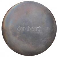 Vincze Dénes (1914-1972) 1966. "Ki minek mestere" jelzetlen Br plakett eredeti tokban (77m...