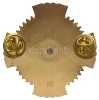 DN "Igazolt Magyar Szabadságharcosok Világszövetsége" posztumusz változat, aranyozott, zom...