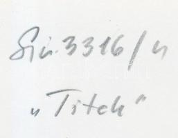 Sziklai Dezső(1910-1997): Titok, hátoldalon feliratozva, 18x24 cm