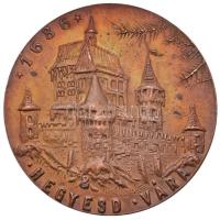 Peternák Gusztáv (1928-) 1983. "Hegyesd vára / MÉE-Keszthely" Br emlékérem (50mm) T:2