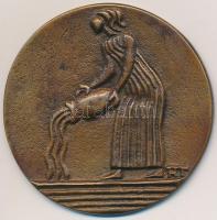 Asszonyi Tamás (1942-) DN "Horoszkóp - Vízöntő" Br emlékérem (48,5mm) T:2