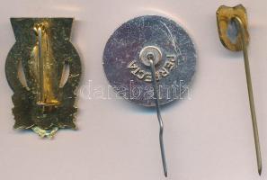 ~1960-1970. "Testnevelés és Sport Kiváló Dolgozója" aranyozott, zománcozott fém jelvény + ...