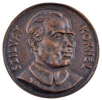 1995. "Szilvay Kornél / Emlékérem a tűzvédelem fejlesztéséért" Br érem eredeti dísztokban (78,5mm) T:2