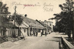 Berszászka, Drenkova; Utcakép, kiadja M. G. / street view (EK)