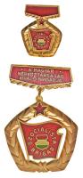 ~1970. "A Magyar Népköztársaság Kiváló Brigádja - Szocialista Brigád" aranyozott, zománcozott jelvény miniatűrrel dísztokban T:1