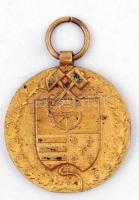1909 Körmöcbányai emlék medál, "Az Orsz. Magy. Bány- és Kohász Egyesület Közgyűlése", réz, d:2,5 cm