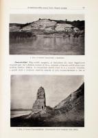 A Balatonmellék paleontológiája. Kiad.: A Magyar Földrajzi Társaság Balaton-bizottsága. 4. köt. Bp.,...