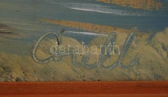 Corelli jelzéssel: Ősz a hegy lábánál. Olaj, vászon, fa keretben, 47x67 cm