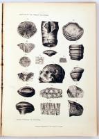 A Balatonmellék paleontológiája. Kiad.: A Magyar Földrajzi Társaság Balaton-bizottsága. 1. köt. Bp.,...