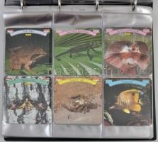 Igényes, nagyalakú gyűrűs képeslap berakó betétlapokkal, összesen 264/528 férőhellyel; 204 modern ál...