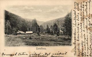 Nagyrőce, Karaffova fűrésztelep / saw mill (fa)