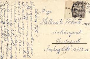 Budapest XII. Svábhegy, Nemes-féle vízgyógyintézet