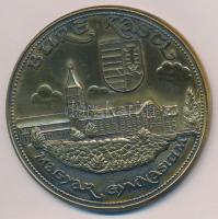 1977. "Burg Kastl - Magyar Gymnasium / Ember: küzdj és bízva bízzál" Br emlékérem (65mm) T...