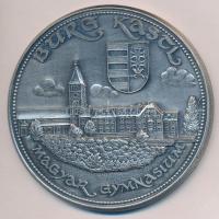 1978. "Burg Kastl - Magyar Gymnasium / Hungaria Aeterna - Árpád" ezüstözött Br emlékérem. ...