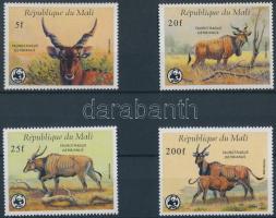WWF: Jávorantilop sor WWF: Elk set