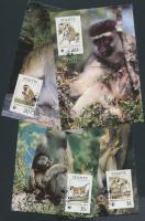 WWF Monkies set 4 CM, WWF: Majmok sor 4 CM-n