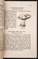Ernst Walther: Taschenbuch für Pilzsammler. Eine Anleitung zur Kenntnis der wichtigsten eßbaren, gif...