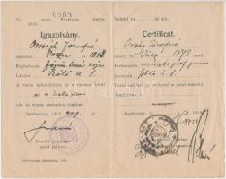 1919 Jászberény, Magyar és román nyelvű utazási igazolvány, mely szabad mozgást biztosít város területén és a határban