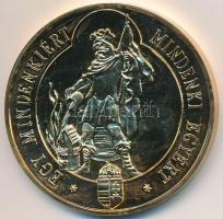 1996. "Magyar Tűzoltó Szövetség Hajdúszoboszló 896-1996 / Egy mindenkiért, mindenki egyért"...