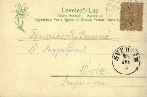 Szomolnok, Schmölnitz, Smolník; Látkép, Feitzinger Ede 1902/12, 445 / view