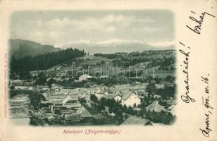 Rezsőpart (Zólyom Vm.) Látkép / view