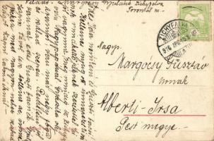 Újzichyfalva, Plandiste; Wosching György palotája, pénzügyőr laktanya, községháza, Erzsébet park. ki...