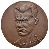 Lapis András (1942-) DN "József Attila / UNIVERSITAS SZEGEDIENSIS DE ATTILA JÓZSEF NOMINATA" öntött Br érem (118mm) T:2 Hungary ND "Attila József / UNIVERSITAS SZEGEDIENSIS DE ATTILA JÓZSEF NOMINATA" Br medallion. Sign.: András Lapis (118mm) C:XF