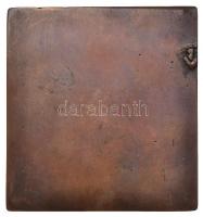 Beck András (1911-1985) DN "Nagy Imre" öntött Br plakett (70,5x66mm) T:2
