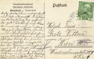 Mistelbach, Grosshandlungshaus Thomas Freund / warehouse