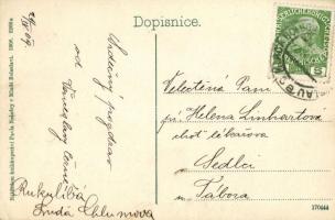 Mladá Boleslav, Nakladem Pavla Nesnery / View with factories