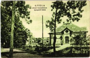 Gyula - 5 db régi képeslap / 5 old postcard