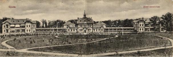 Gyula, József szanatórium, panorámalap (fa)