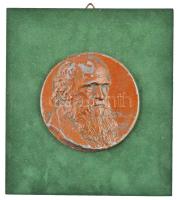 Juszkó Jenő (1880-1954) 1913. "Charles Darwin" egyoldalas öntött, bronzozott fém plakett fatalpra ragasztva (101mm) T:2- Hungary 1913. "Charles Darwin" one-sided bronze-plated metal medallion, glued to wood. Sign.: Jenő Juszkó (101mm) C:VF