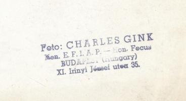 cca 1960 Gink Károly (1922-2002) pecséttel jelzett vintage fotója a visegrádi királyi palotáról, 14x...