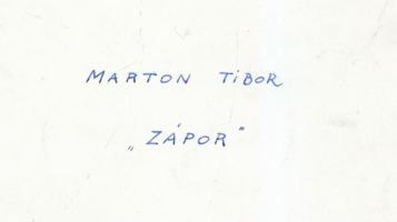 cca 1950 Marton Tibor: Zápor, feliratozott vintage fotóművészeti alkotás, 23x14 cm /
cca 1950 Tibor...