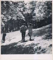 cca 1938 Reich Péter Cornel: A Budai-hegyek romantikája, 3 db jelzés nélküli vintage fotó a szerző hagyatékából, 20x18 és 23x18 cm közötti méretekben