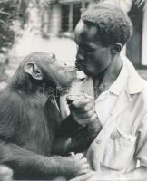 1992 A csók I-II., 2 db fotó, 15x20 cm és 20x17 cm