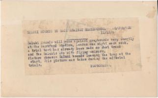 cca 1932 Kezdődik az agárverseny, vintage sajtófotó angolul feliratozva, 13x20 cm /
cca 1932 Beginn...