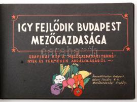 1955 Így fejlődik Budapest mezőgazdasága, fotóalbum 16 beragasztott fotóval, kísérő szöveggel, 18x18...